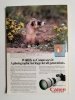 NATIONAL GEOGRAPHIC VOL. 163 NO. 2 FEBRUARY 1983